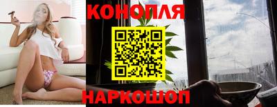 мяу мяу мука Новодвинск