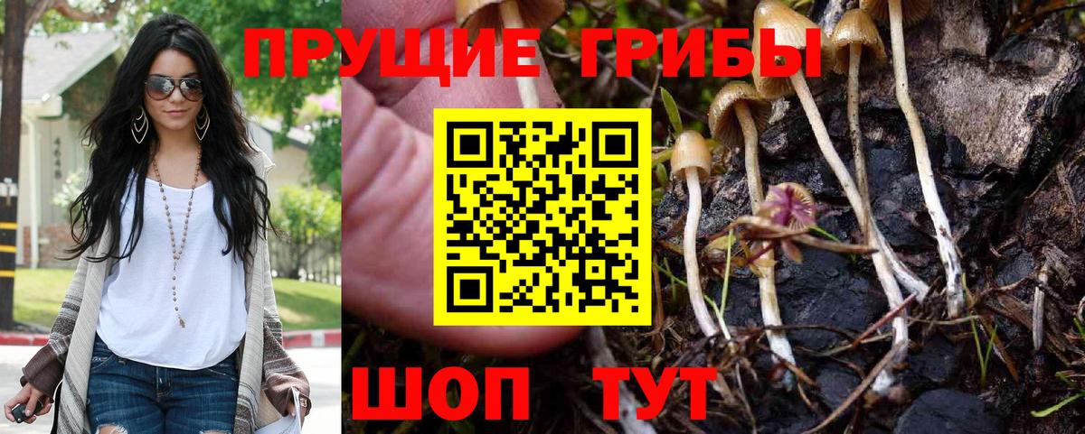 Псилоцибиновые грибы Magic Shrooms Сургут